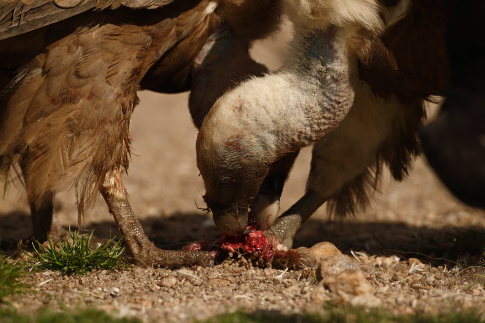 Como dice el principio de la conservación de la materia